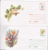 Bnk fil Lot 7 intreguri postale - flori