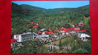CP - Vedere - RPR - Olanesti foto