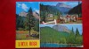 CP - Vedere - RPR - Lacul Rosu, Circulata, Printata