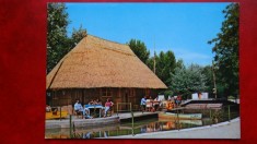 CP - Vedere - RPR - Satul Mare