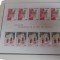 MONACO 1981 &ndash; EUROPA CEPT, bloc nestampilat AF24