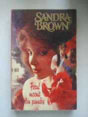 FOCUL MOCNIT DIN PARADIS - SANDRA BROWN ( 1920 ) foto
