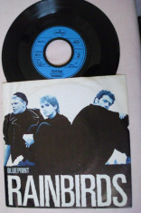 Rainbirds - Blueprint (1987, Mercury) vinil single 7&amp;quot; New Wave, Pop Rock foto