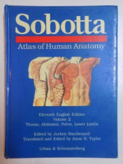 SOBOTTA . ATLAS OF HUMAN ANATOMY , VOL. II , THORAX , ABDOMEN , PELVIS , LOWER LIMBS , 1990 foto