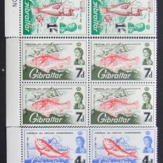 GIBRALTAR 1966 - CAMPIONAT DE PESCUIT 3 VALORI IN BLOC, NEOBLITERATE - GB 049