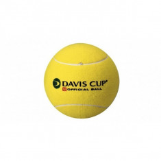 Minge Tenis Camp, Wilson, Mini Jumbo Ball DC YEL Wilson foto