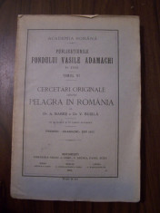 Cercetari originale despre pelagra in Romania - Dr. A.Babes, Dr. V.Busila (1915) foto