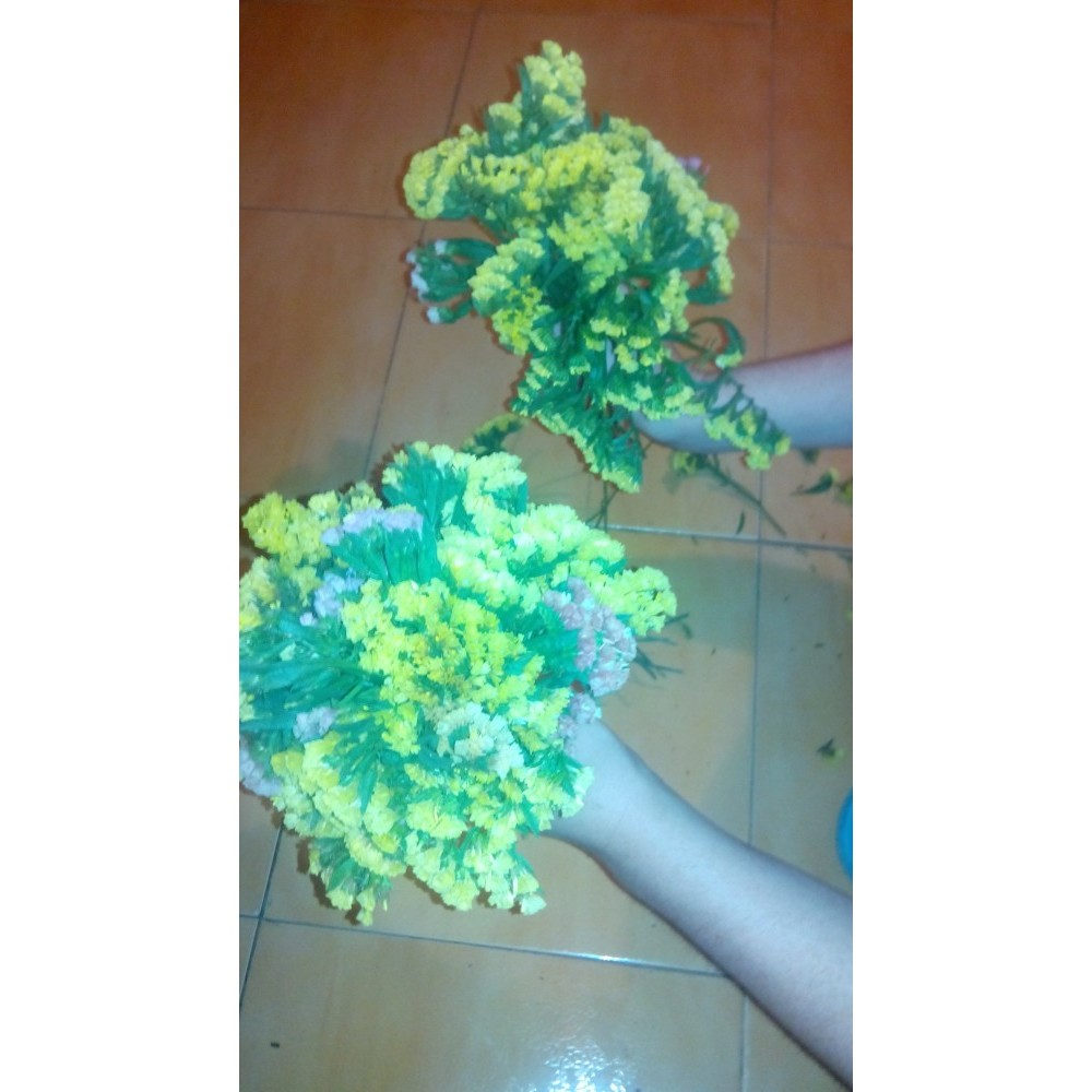 Flori Uscate Flori De Pai Imortele Limonium Statica Arhiva