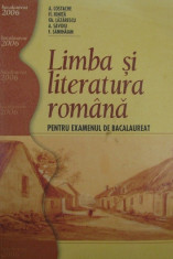 Limba si literatura romana pentru examenul de bacalaureat de Adrian Costache foto