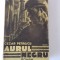 Aurul negru / vol II - Pamant si cer/ Cezar Petrescu / R3P2S