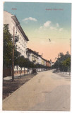 % carte postala (ilustrata)-ARAD - strada Grof Apponyi Albert, Necirculata, Printata