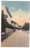 % carte postala (ilustrata)-ARAD - strada Grof Apponyi Albert