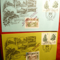 2 Plicuri 100 Ani Hohe Rinne -Paltinis , 2 timbre Hohe Rinne , 1995