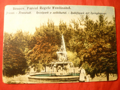 Ilustrata Brasov - Parcul Regele Ferdinand , anii &amp;#039;20 foto