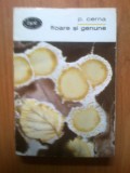 g0 Floare Si Genune - P.cerna