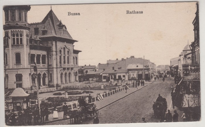 BUZAU, RATHAUS , PRIMARIA