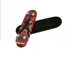 Skateboard mare foto