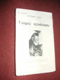 Turquie agonisante - Pierre Loti (1913)
