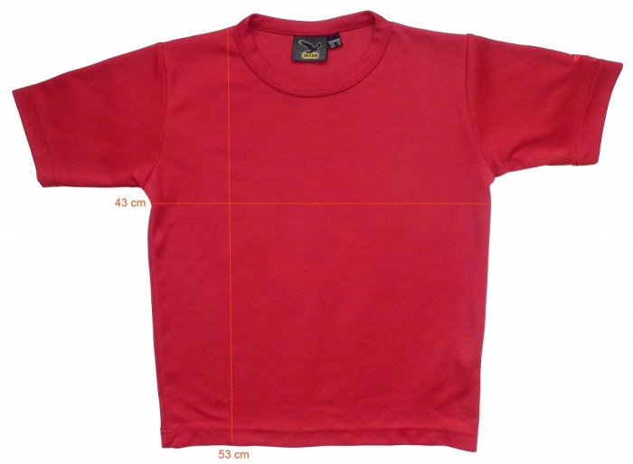 Tricou munte drumetii SALEWA stare perfecta (tineret M, 8-9 ani) cod-163314 foto mare Tricou munte drumetii SALEWA stare perfecta (tineret M, 8-9 ani) cod-163314 foto mare
