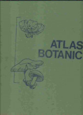 Lucia Popovici - ATLAS BOTANIC foto