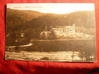 Ilustrata clasica Busteni - Palatul Cantacuzino - Ed. Ad.Maier si Stern foto