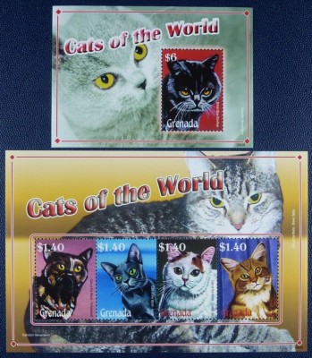 GRENADA 2008 PISICI foto