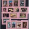 AJMAN 1972 FAUNA ANIMALE SALBATICE - DELUXE COLITE