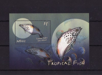 NEVIS 2000 PESTI TROPICALI foto