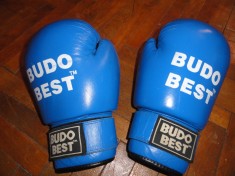 Manusi de box Budo Best foto