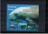 PALAU 2010 FAUNA MARINA - DUGONG