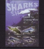 NEVIS 2004 FAUNA MARINA RECHINI