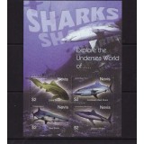 NEVIS 2004 FAUNA MARINA RECHINI