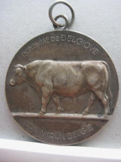 Medalia veche NAMUR Belgia 1941. Metal argintat. foto