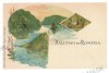 2910 - ORSOVA, Danube Kazan, Litho - old postcard - unused, Necirculata, Printata