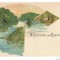 2910 - ORSOVA, Danube Kazan, Litho - old postcard - unused