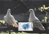 2339 - Germania 1986 - carte maxima