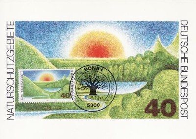 2364 - Germania 1980 - carte maxima foto