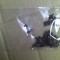 suruburi surub Toshiba Satellite L500 L500D L505 l505d L550 L550D L555 L555D