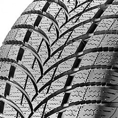 Cauciucuri de iarna Maxxis MA-PW ( 205/45 R16 83H ) foto