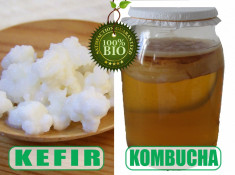 Kefir si Kombucha - pachet complet BioActiv foto