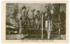 2946 - Ethnic, folk dance, Port Popular - old postcard - used - 1917, Circulata, Printata