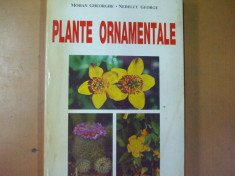 Plante ornamentale G. Mohan Bucuresti 1997 032 foto