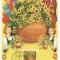 2394 - carte maxima Lichtenstein 1981