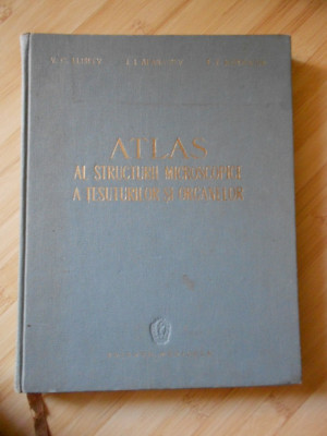 V. G. ELISEEV--ATLAS AL STRUCTURII MICROSCOPICE A TESUTURILOR SI ORGANELOR foto