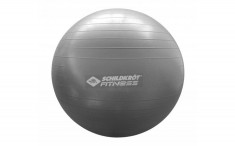 SCHILDKROT-FITNESS Minge fitness PVC, 65 cm, argintie foto