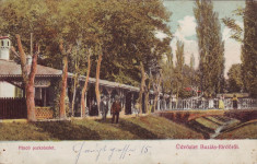 #1602- Romania, Buzias carte postala circulata 1908: Parcul statiunii, animat foto