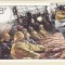 2418 - Anglia 1981 - carte maxima