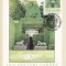 2431 - Anglia 1983 - carte maxima