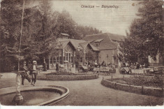 #1620- Romania, Oravicza c.p. circ. 1917: Banyavolgy, Gradina de vara, animat foto