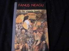 IN VAPAIA LUNII-FANUS NEAGU-317 PG- foto